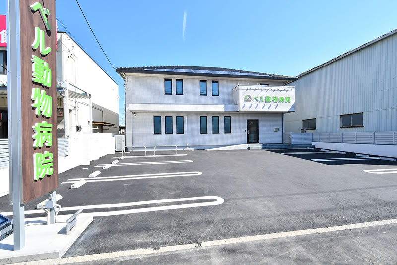 ベル動物病院